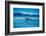 Grey Whales, Whale Watching, Magdalena Bay, Mexico, North America-Laura Grier-Framed Photographic Print