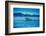 Grey Whales, Whale Watching, Magdalena Bay, Mexico, North America-Laura Grier-Framed Photographic Print