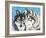 Grey Wolf I-Carolee Vitaletti-Framed Art Print