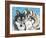 Grey Wolf I-Carolee Vitaletti-Framed Art Print