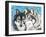 Grey Wolf I-Carolee Vitaletti-Framed Art Print