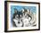 Grey Wolf I-Carolee Vitaletti-Framed Art Print