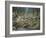 Grey Wolf Mother and Pups-Robert Wavra-Framed Giclee Print