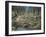 Grey Wolf Mother and Pups-Robert Wavra-Framed Giclee Print