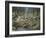 Grey Wolf Mother and Pups-Robert Wavra-Framed Giclee Print