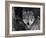 Grey Wolf Portrait, USA-Lynn M^ Stone-Framed Photographic Print