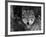 Grey Wolf Portrait, USA-Lynn M^ Stone-Framed Photographic Print