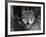 Grey Wolf Portrait, USA-Lynn M^ Stone-Framed Photographic Print