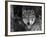 Grey Wolf Portrait, USA-Lynn M^ Stone-Framed Photographic Print