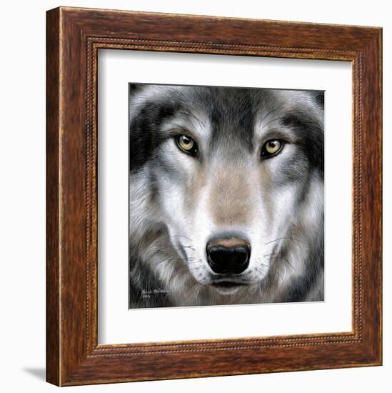 Grey Wolf Portrait-Sarah Stribbling-Framed Art Print