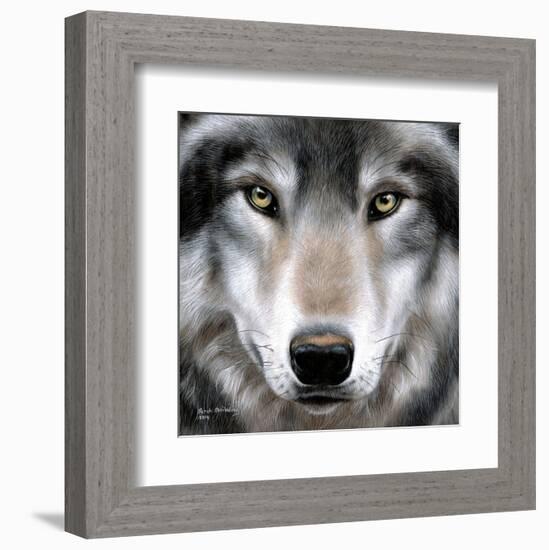 Grey Wolf Portrait-Sarah Stribbling-Framed Art Print