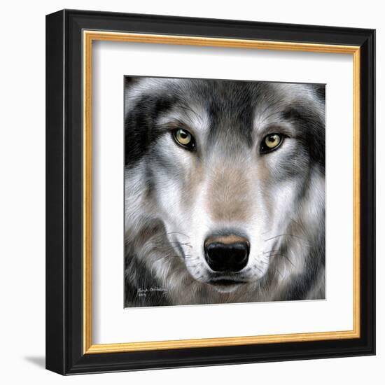 Grey Wolf Portrait-Sarah Stribbling-Framed Art Print