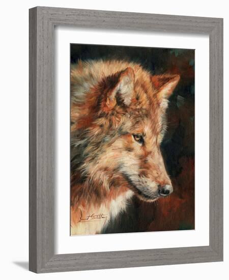 Grey Wolf Portrait-David Stribbling-Framed Art Print