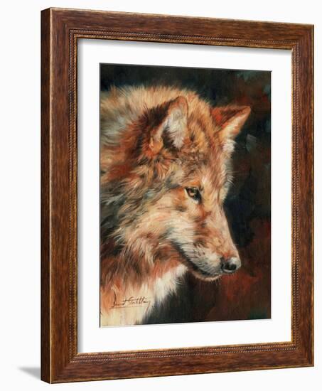 Grey Wolf Portrait-David Stribbling-Framed Art Print