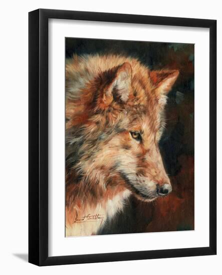 Grey Wolf Portrait-David Stribbling-Framed Art Print