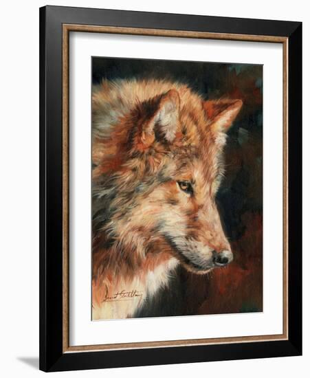 Grey Wolf Portrait-David Stribbling-Framed Art Print
