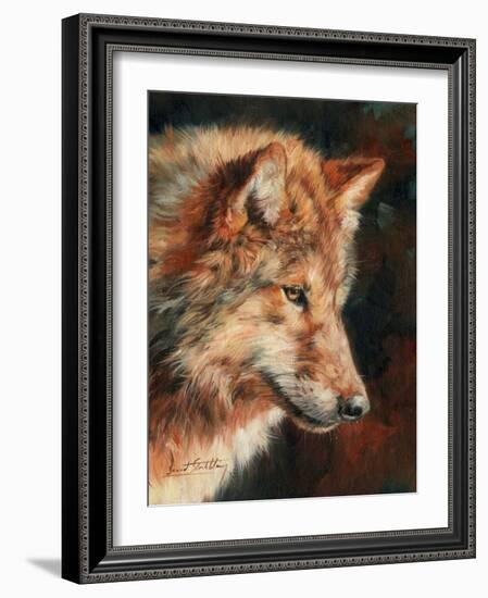 Grey Wolf Portrait-David Stribbling-Framed Art Print