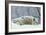 Grey Wolf Resting During Heavy Snow-null-Framed Photographic Print