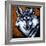 Grey Wolf-null-Framed Art Print