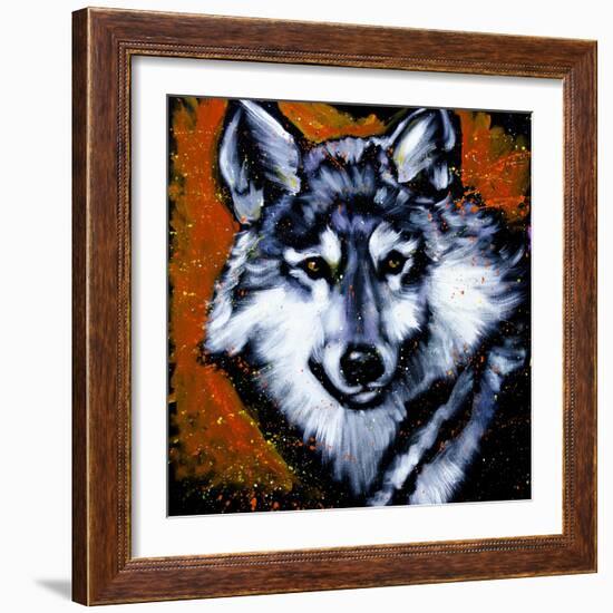 Grey Wolf-null-Framed Art Print