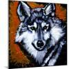 Grey Wolf-null-Mounted Art Print