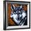 Grey Wolf-null-Framed Art Print