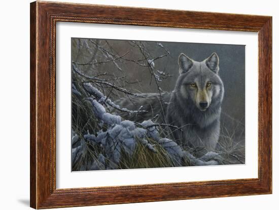 Grey Wolf-Jeremy Paul-Framed Giclee Print