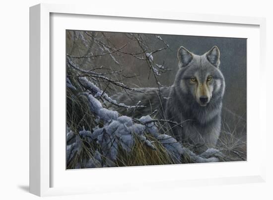 Grey Wolf-Jeremy Paul-Framed Giclee Print