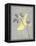 Grey & Yellow Bird I-Gwendolyn Babbitt-Framed Stretched Canvas