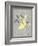 Grey & Yellow Bird I-Gwendolyn Babbitt-Framed Art Print