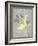 Grey & Yellow Bird I-Gwendolyn Babbitt-Framed Art Print