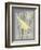 Grey & Yellow Bird II-Gwendolyn Babbitt-Framed Art Print