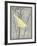 Grey & Yellow Bird II-Gwendolyn Babbitt-Framed Art Print