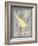 Grey & Yellow Bird II-Gwendolyn Babbitt-Framed Art Print