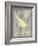 Grey & Yellow Bird II-Gwendolyn Babbitt-Framed Art Print