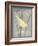 Grey & Yellow Bird II-Gwendolyn Babbitt-Framed Art Print