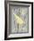 Grey & Yellow Bird II-Gwendolyn Babbitt-Framed Art Print