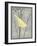 Grey & Yellow Bird II-Gwendolyn Babbitt-Framed Art Print