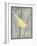 Grey & Yellow Bird II-Gwendolyn Babbitt-Framed Art Print