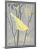 Grey & Yellow Bird II-Gwendolyn Babbitt-Mounted Art Print