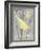 Grey & Yellow Bird II-Gwendolyn Babbitt-Framed Art Print