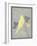 Grey & Yellow Bird III-Gwendolyn Babbitt-Framed Art Print