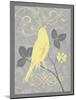 Grey & Yellow Bird III-Gwendolyn Babbitt-Mounted Art Print