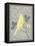 Grey & Yellow Bird III-Gwendolyn Babbitt-Framed Stretched Canvas