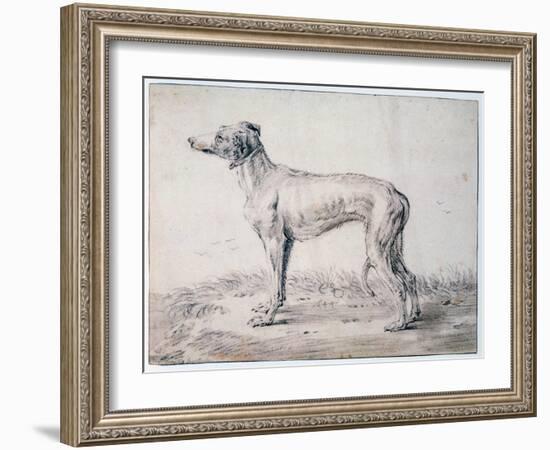 Greyhound, 1644-Cornelis Saftleven-Framed Giclee Print