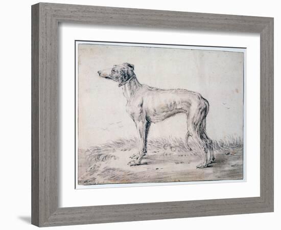 Greyhound, 1644-Cornelis Saftleven-Framed Giclee Print