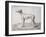 Greyhound, 1644-Cornelis Saftleven-Framed Giclee Print