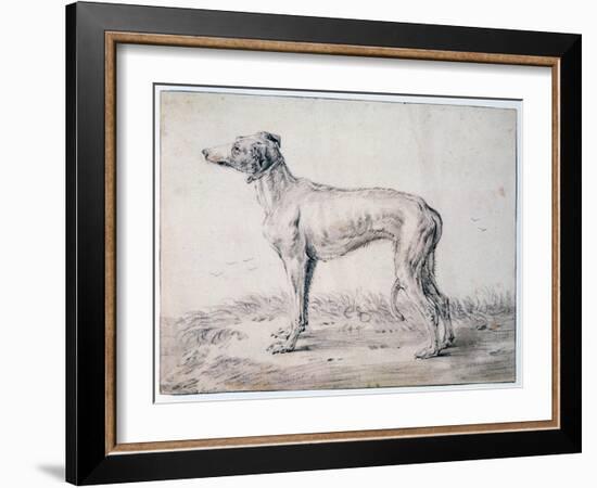 Greyhound, 1644-Cornelis Saftleven-Framed Giclee Print