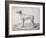 Greyhound, 1644-Cornelis Saftleven-Framed Giclee Print