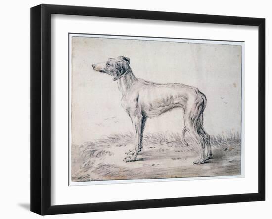 Greyhound, 1644-Cornelis Saftleven-Framed Giclee Print